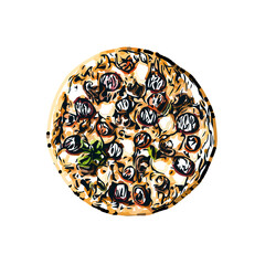 pizza color sketch with transparent background