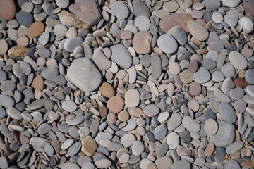 pebbles on sea beach washed round
