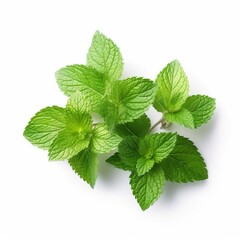 fresh mint leaves created with generative AI
