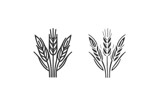Ear of grain icon. Vector illustration design.