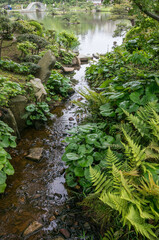 Obraz premium 広島 初夏の緑に染まった縮景園の美しい小川