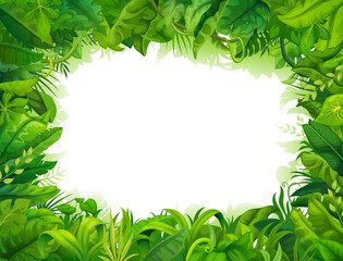 Cartoon jungle frame. Rainforest plants, heaven or eden garden, tropical forest flora vector background. Vacation Hawaii travel, summer paradise and clean environment frame with leaves and lianas - obrazy, fototapety, plakaty