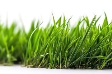 Fototapeta premium Green Grass On White Background. Generative AI
