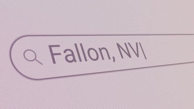 Search Bar Fallon NV 
Close Up Single Line Typing Text Box Layout Web Database Browser Engine Concept