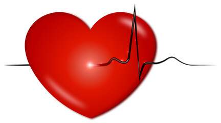 Isolated illustration of the heart with the heart rate graph on a white background.