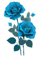 青い薔薇の花のベクターイラスト／AI画像