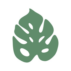 Monstera leaves png.