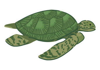 Sea turtle clipart. Single doodle of underwater animal isolated on white. Colored vector illustration in cartoon style.