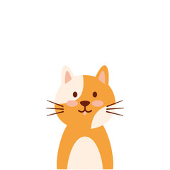 Cat Illustration Vector