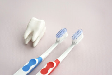 Toothbrushes with a small figure of a tooth on a light background.