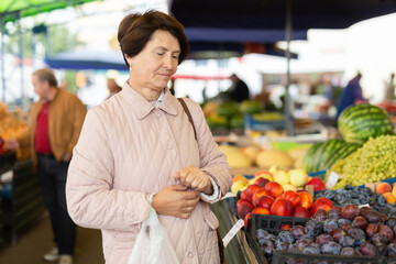 Focused busy old woman in casual wear checking plums on stand while buying fruits at local market