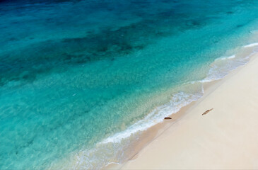 Obraz premium Waves splashing on sands