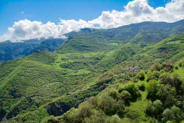 Green fields and mountains. Beautiful landscape with mountains and green forests