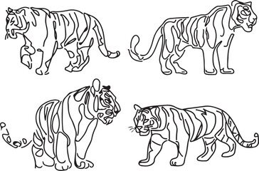 Tiger Vector black and white line art vector silhoutte 
