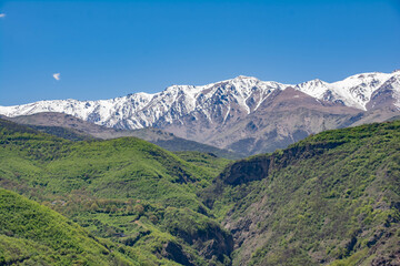 Green fields and mountains. Beautiful landscape with mountains and green forests