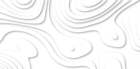 Vector abstract white paper cut banner. White waves decorative papercut design. Modern White wavy vector background. White paper cut background with 3D style and gradient white color. 