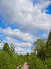 Blue sky with white fluffy clouds