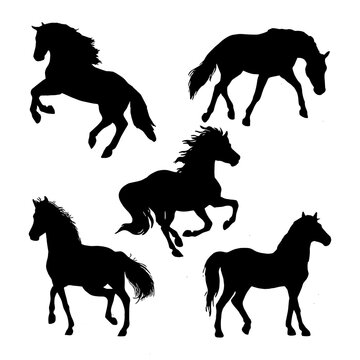set of a horses silhouettes illustration vector