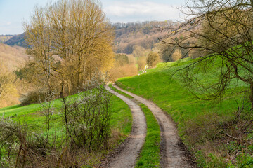 Idyllic spring time scenery