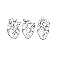 Three Human Hearts Dotwork. Raster Illustration of Hipster Style T-shirt Design. Tattoo Hand Drawn Sketch.