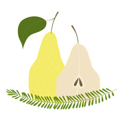 Pear slice rosemary composition. Summer fruits textured. Hand drawn organic vector illustration