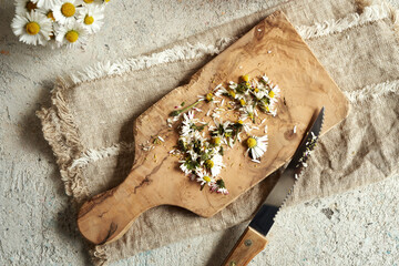 Cutting up lawn daisy flowers to prepare syrup, top view