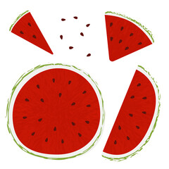Watermelon slice seed. Summer fruits textured. Hand drawn organic vector illustration