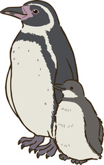フンボルトペンギンの親子