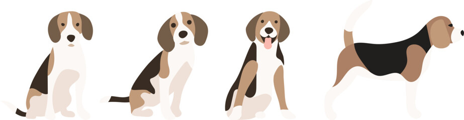 beagle dogs on transparent background. cute, sweet puppy, pet. vector, image, clip art, elements. isolated on transparent. 