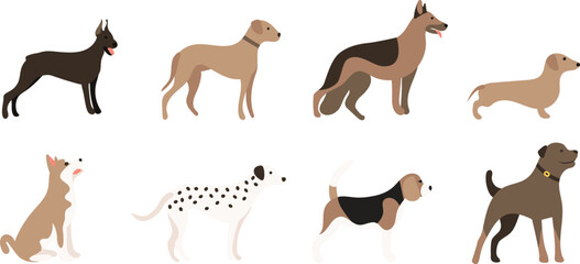 doberman, ridgeback, shepherd, dachshund, akita, shiba, dalmatian, beagle, rottweiler dogs on transparent background. cute, sweet puppy, pet. vector, image, clip art, elements. isolated profile dogs