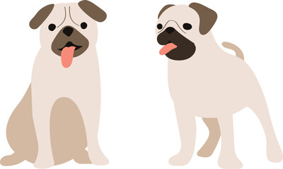 pug dogs on transparent background. cute, sweet puppy, pet. vector, image, clip art, elements. isolated on transparent. pugs 
