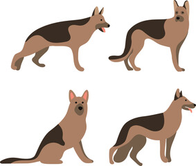 german shepherd dogs on transparent background. cute, sweet puppy, pet. vector, image, clip art, elements. isolated on transparent. german shepherds.