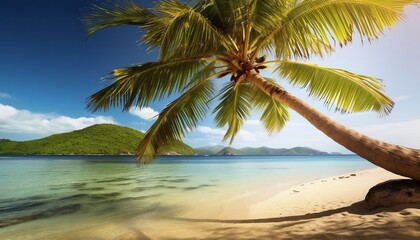 Fototapeta na wymiar Palm Tree on a Tropical Beach and Turquoise Water Generative AI