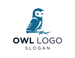 Logo design about Owl on a white background. created using the CorelDraw application.