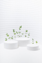 Modern white abstract stage as curved niche with two circle podiums mockup for presentation cosmetic products, goods, design with mosaic wall, green tiny eucalyptus leaves in summer sunlight.
