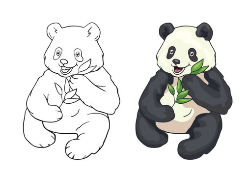 Children's coloring page with a cartoon funny panda with a branch of eucalyptus. Line drawing of outline and painted color bear. Clipart with funny animals. Kids education activity page. Paint colorin