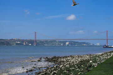 Large modern liner cruiseship cruise ship Poesia, Orchestra, Magnifica or Musica in port of Lisbon,...