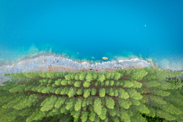 Aerial view of pine garden with blue lake at Phang nga, Thailand