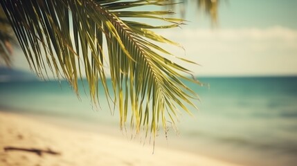 Fototapeta na wymiar Close up of palm trees on the beach, Generative AI