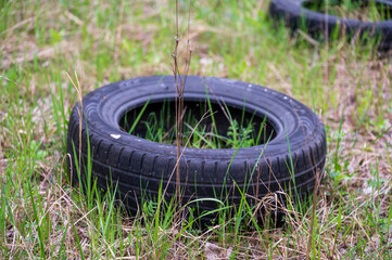 Car tires are thrown in the grass