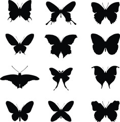 Set of different butterflies  silhouette vector illustration