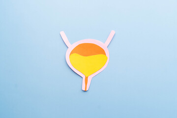 Bladder organ shape made from paper on light blue background. Awareness of bladder cancer, urinary tract infection, urinary incontinence and overactive bladder. - obrazy, fototapety, plakaty