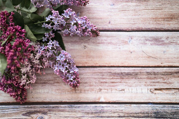 Spring flowers. Lilac flowers on a wooden background. Top view, flat lay, copy space