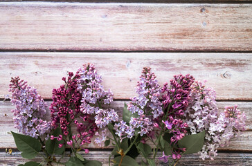 Fototapeta na wymiar Spring flowers. Lilac flowers on a wooden background. Top view, flat lay, copy space