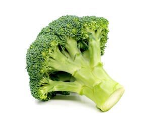 broccoli isolated on white background