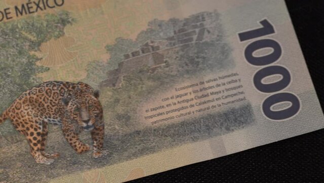 Mexican Peso Banknotes Jaguar