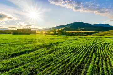 Scenic view at beautiful spring sunset in a green shiny field with green grass and golden sun rays, deep blue cloudy sky on a background , forest and country road, summer valley landscape