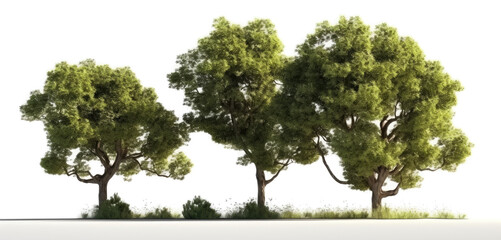 illustration of trees on transparent background, for illustration, digital composition, and architecture visualization. generative ai