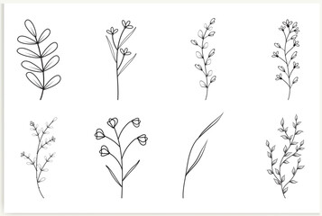 Set of vector vintage floral elements.Hand-drawn cute line art. Elements flowers, branches, swashes, and flourishes
