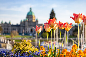 Legislative Assembly of British Columbia in the Capital City during a sunny day. Downtown Victoria,...